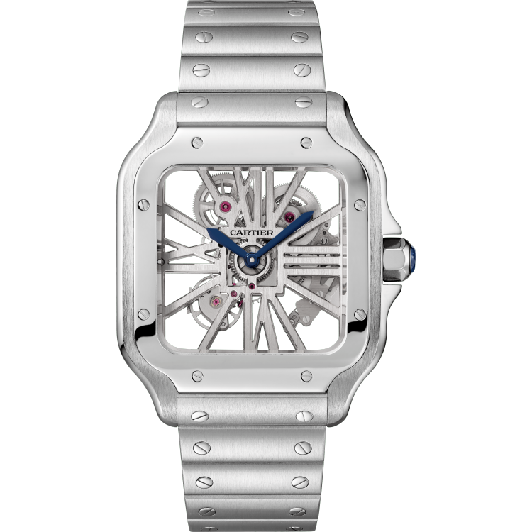 Skeleton Steel & Alligator Strap Watch