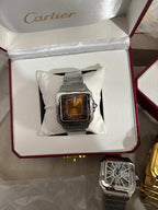 Brown Dial, Steel, Self-Winding, Silver-Tone Watch