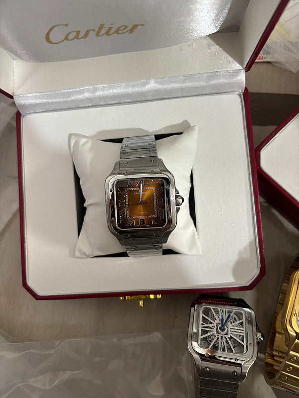 Brown Dial, Steel, Self-Winding, Silver-Tone Watch