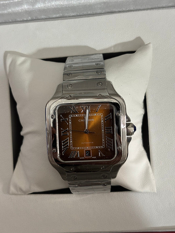 Brown Dial, Steel, Self-Winding, Silver-Tone Watch