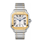 Iconic Luxury with Timeless Elegance Watch