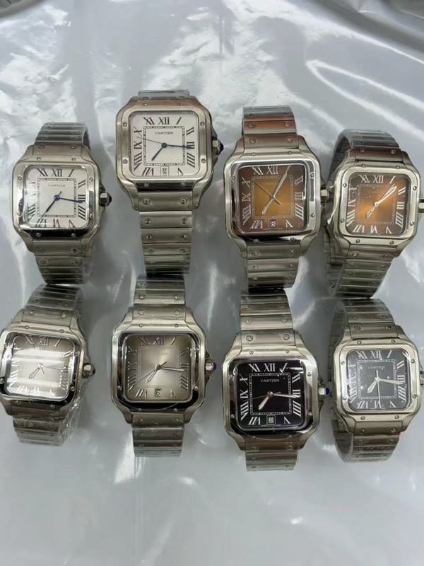 Santos Medium Watch