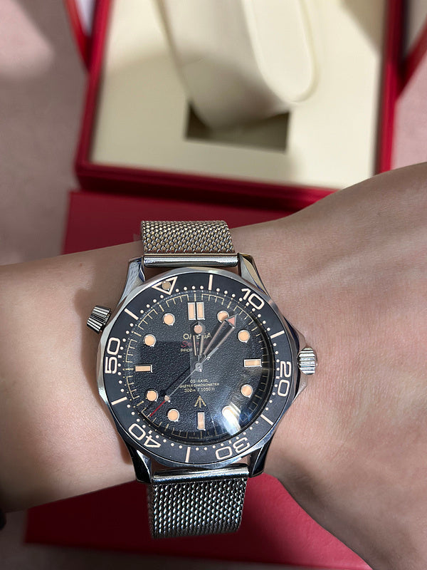 Diver 300M Titanium Watch