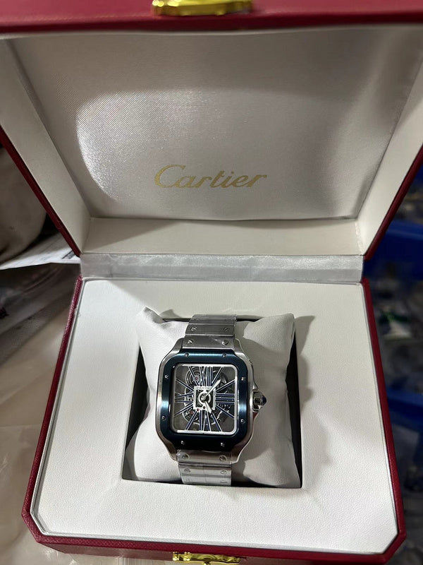 Skeleton Watch