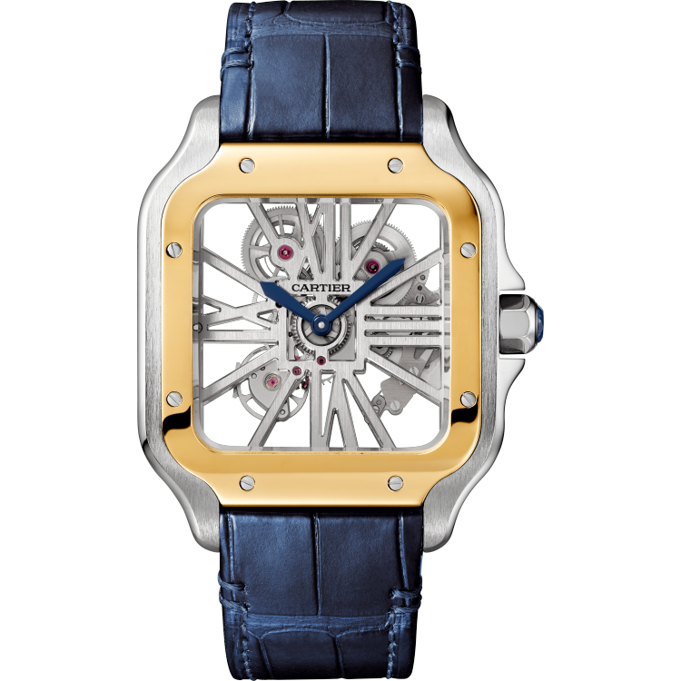 Skeleton Large Watch