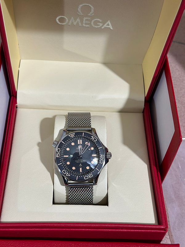 Diver 300M Titanium Watch