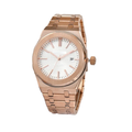 41mm Luxury AP Automatic Crystal Dial Pattern Watch