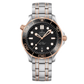 42 mm Steel & Sedna Gold On Steel Watch