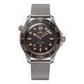 Diver 300M Titanium Watch