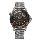 Diver 300M Titanium Watch