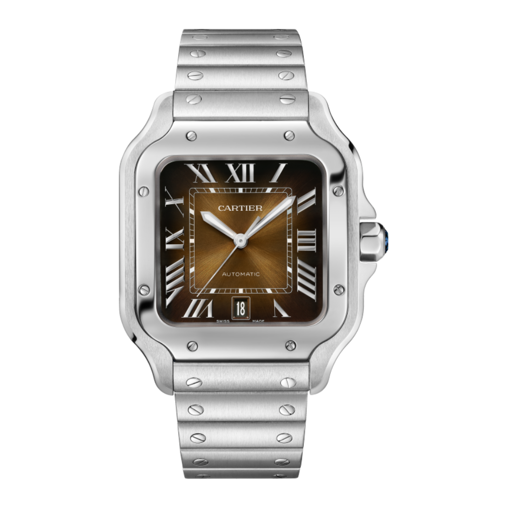 Brown Dial, Steel, Self-Winding, Silver-Tone Watch