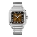 Brown Dial, Steel, Self-Winding, Silver-Tone Watch