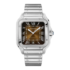 Brown Dial, Steel, Self-Winding, Silver-Tone Watch