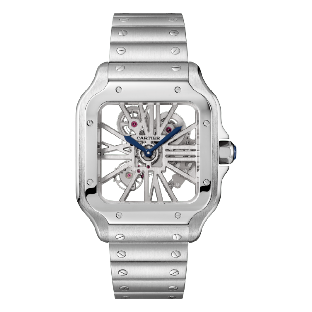 Skeleton Steel & Alligator Strap Watch