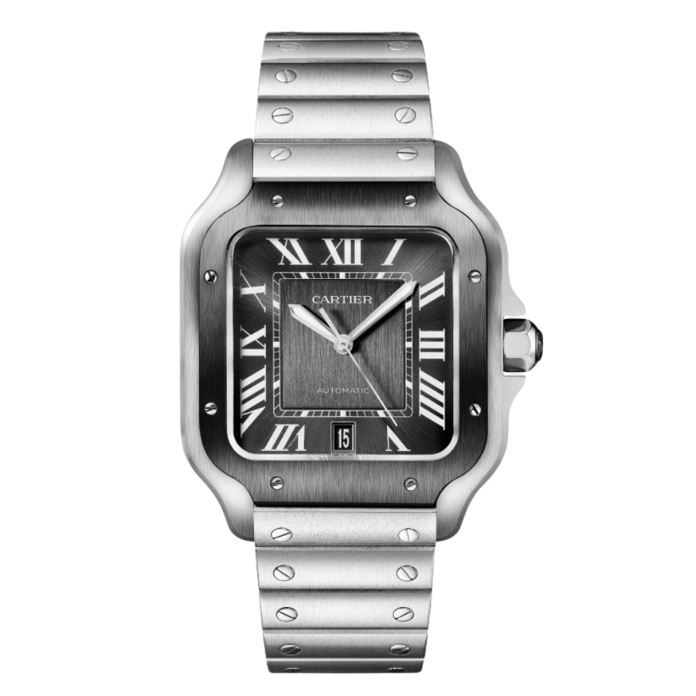 Steel Case With Gray Dial Watch