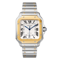 Stainless Steel Case and Yellow Gold Bezel Watch
