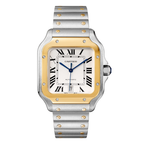 Stainless Steel Case and Yellow Gold Bezel Watch
