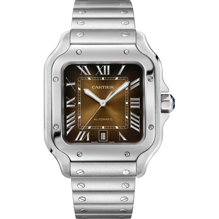 Brown Dial, Steel, Self-Winding, Silver-Tone Watch
