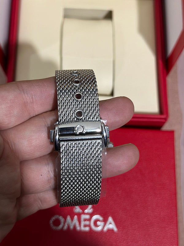 Diver 300M Titanium Watch