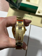 Yellow Gold / Champagne / Oyster Watch
